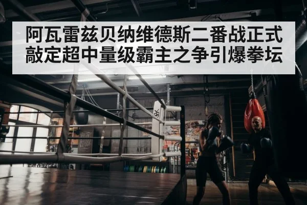boxer training