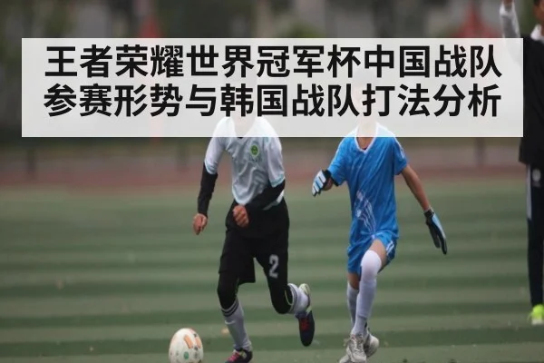 王者荣耀世界冠军杯中国战队参赛形势与韩国战队打法分析